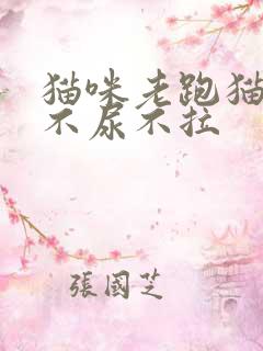 猫咪老跑猫砂盆不尿不拉