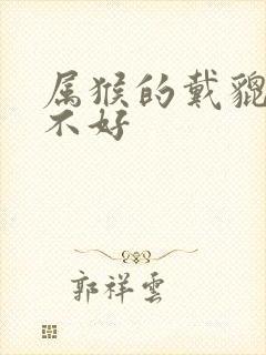 属猴的戴貔貅好不好