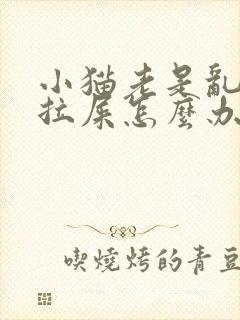 小猫老是乱拉尿拉屎怎么办