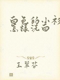 白色的小衫发黄怎样洗白