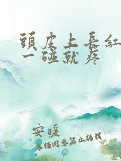 头皮上长红疙瘩一碰就疼