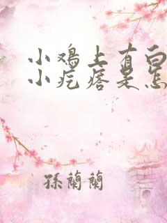 小鸡上有白色的小疙瘩是怎么回事