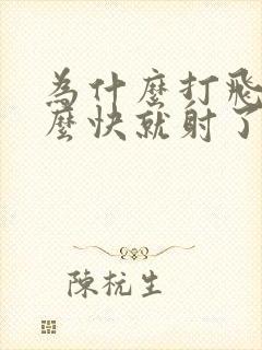 为什么打飞机那么快就射了