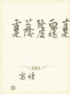 舌苔发白有齿痕是阴虚还是阳虚