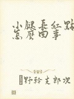 小腿长红点痒是怎么回事