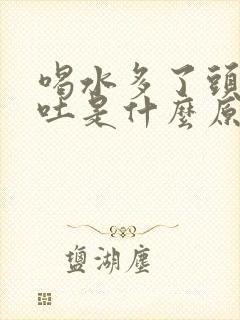 喝水多了头晕想吐是什么原因引起的