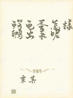 鳄龟蛋怎样才能孵出来呢