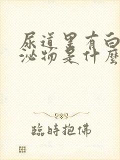 尿道里有白色分泌物是什么原因