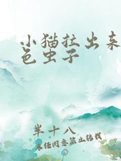 小猫拉出来的白色虫子