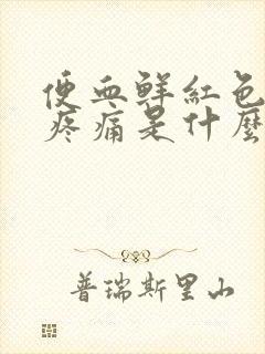 便血鲜红色肛门疼痛是什么原因