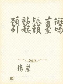 颈动脉有斑块能引起头晕吗