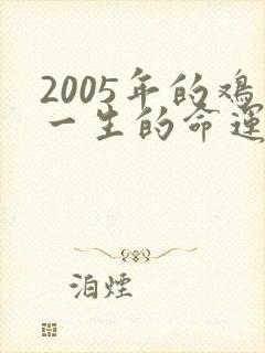 2005年的鸡一生的命运如何