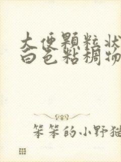 大便颗粒状还有白色粘稠物的原因