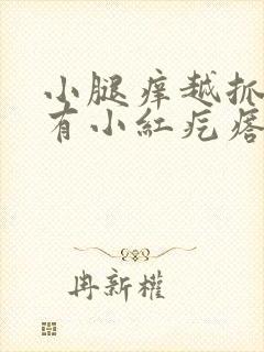 小腿痒越抓越痒有小红疙瘩