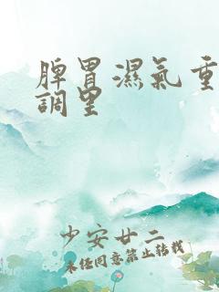 脾胃湿气重怎么调里