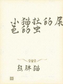 小猫拉的屎有白色的虫