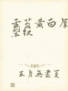 舌苔黄白厚腻有裂纹