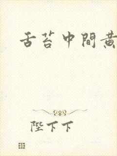 舌苔中间黄厚腻