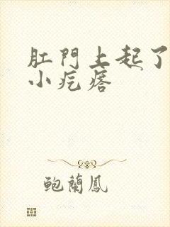 肛门上起了很多小疙瘩