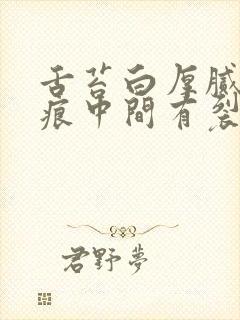 舌苔白厚腻有齿痕中间有裂纹