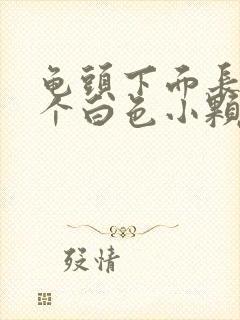 龟头下面长了几个白色小颗粒