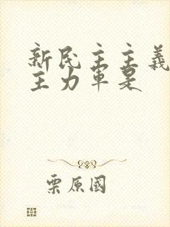 新民主主义革命主力军是