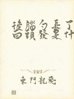 后脑勺长了很多白头发是什么原因