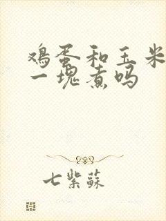 鸡蛋和玉米可以一块煮吗