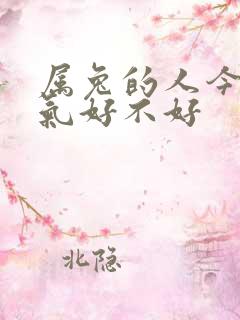 属兔的人今天运气好不好