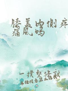 膝盖内侧疼痛是痛风吗