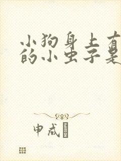 小狗身上有黑色的小虫子是什么虫?