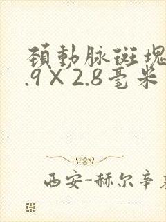 颈动脉斑块12.9×2.8毫米