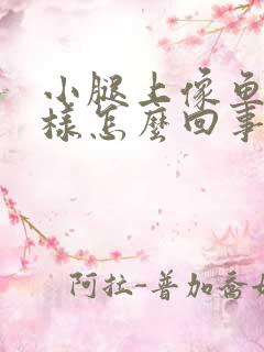 小腿上像鱼鳞一样怎么回事