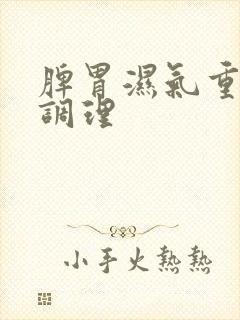 脾胃湿气重什么调理