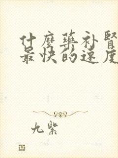 什么药补肾最好最快的速度