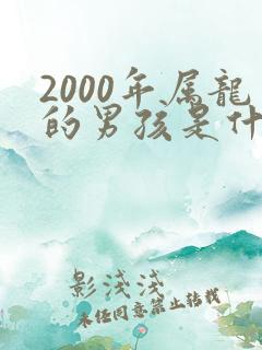 2000年属龙的男孩是什么命