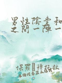 男性阴囊和肛门之间一阵一阵的刺痛