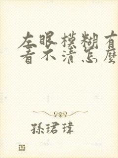 左眼模糊有黑影看不清怎么办