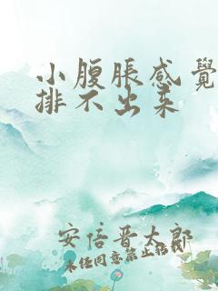 小腹胀感觉有尿排不出来