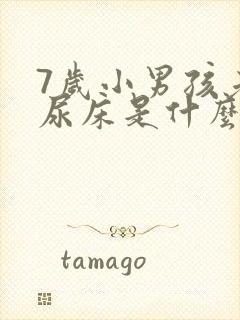 7岁小男孩老是尿床是什么原因