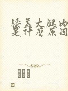 膝盖大腿内侧疼是什么原因