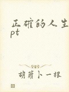 正确的人生观ppt