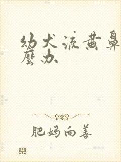 幼犬流黄鼻涕怎么办