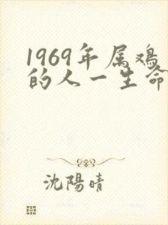 1969年属鸡的人一生命运简析