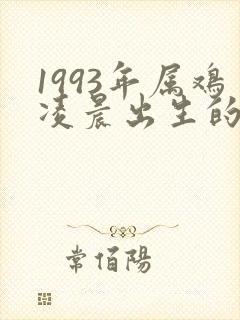1993年属鸡凌晨出生的命运