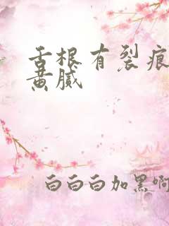 舌根有裂痕舌苔黄腻