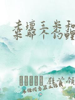 老坛玉米和嫩玉米哪个钓鲤鱼好