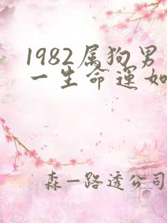1982属狗男一生命运如何