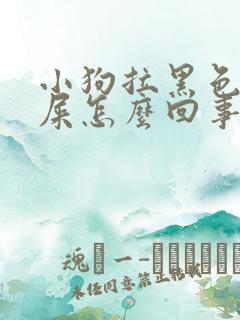 小狗拉黑色的稀屎怎么回事