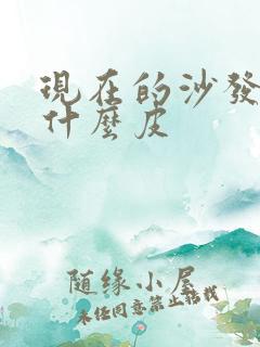 现在的沙发都是什么皮